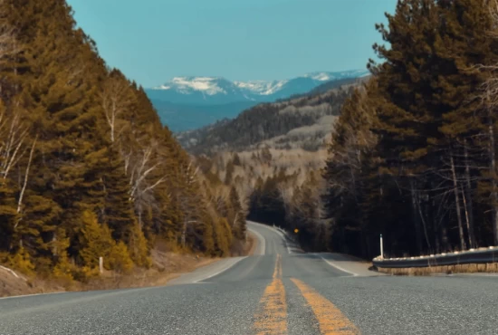 Road Trips from Metairie, LA: Adventure Awaits Beyond the City Limits