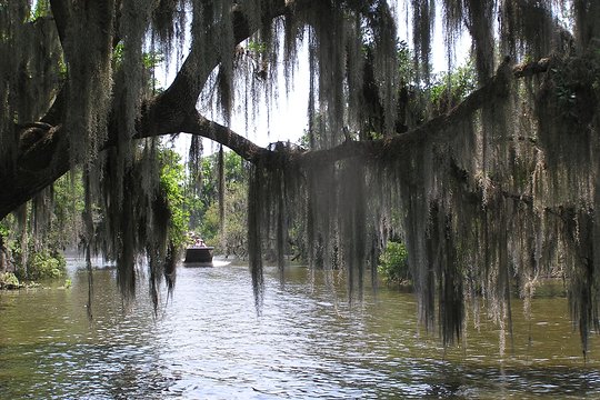 Tour image 3