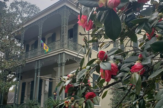 Tour image 6