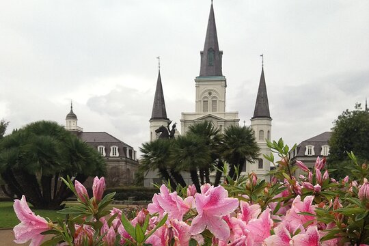 Tour image 6